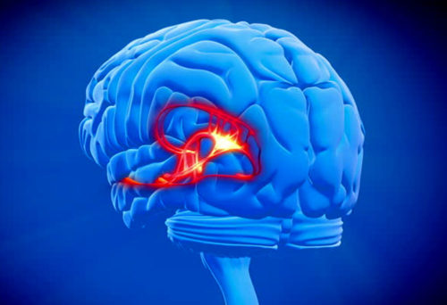 Welcome to the Limbic System